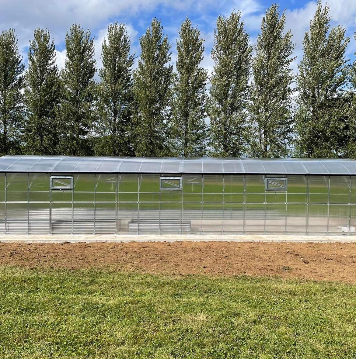 GREENHOUSE PRIMA-4 32 M² (4M X 8M; 13FT X 26FT)/ 6mm