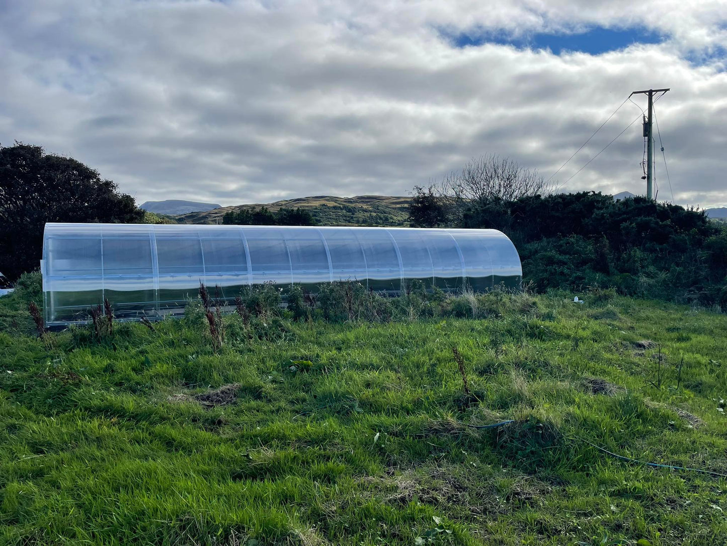 GREENHOUSE SIGMA 36M² (3m x 12m; 9.8ft x 39.4ft)