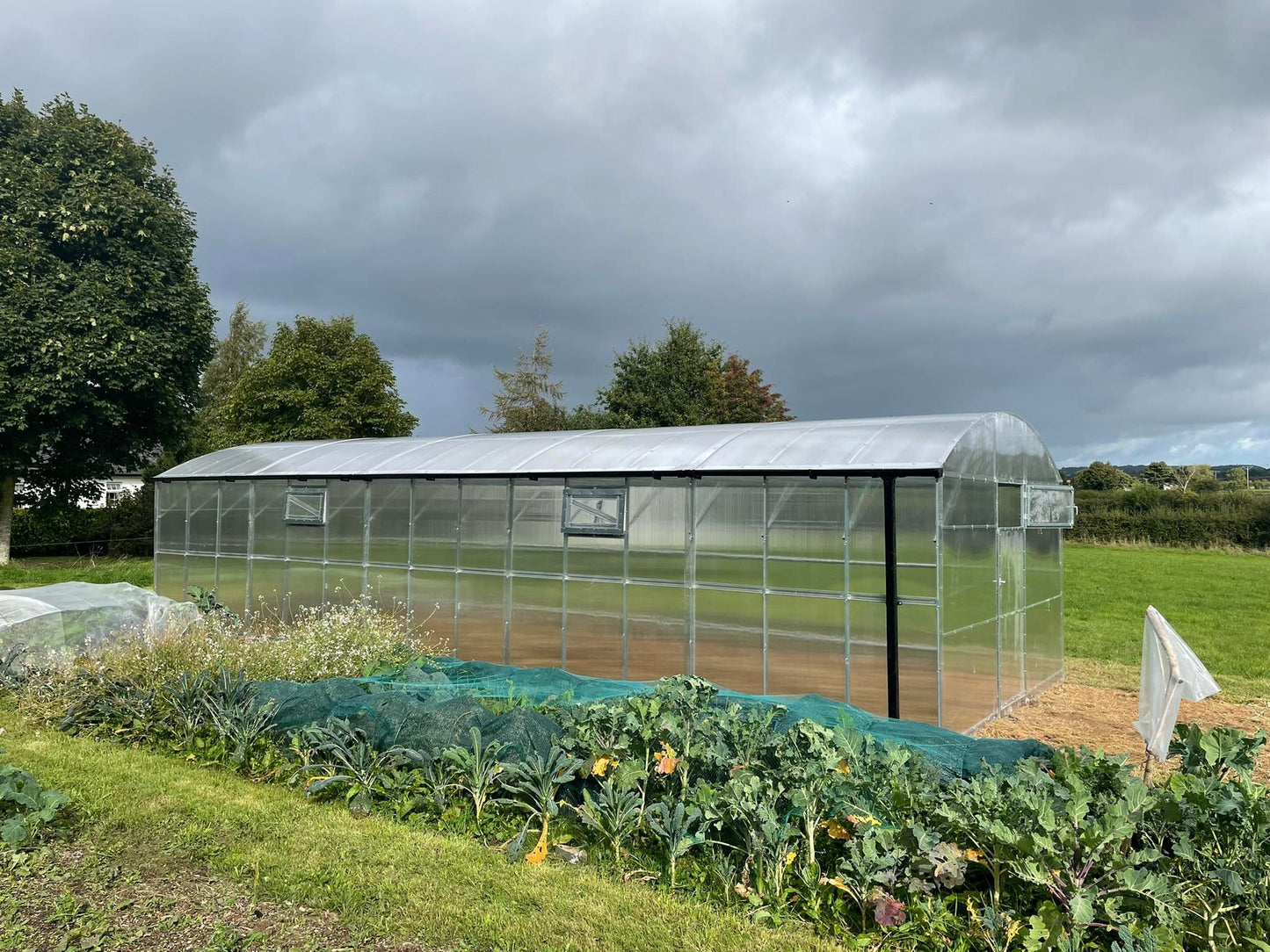 GREENHOUSE PRIMA-4 40 M² (4M X 10M; 13FT X 33FT)/ 6mm