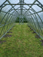 NEW 2021 GREENHOUSE ARROW-3, 36M² (3M X 12M; 9.8FT X 39.4FT)
