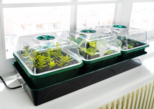 Propagator "Hollandia" - Electric Window Sill Propagator