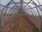 GREENHOUSE ARROW-3, 30M² (3M X 10M; 9.8FT X 33FT)
