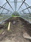 FARMER 4.6 (28.98M² - 4.6M X 6.3M; 15.1FT X 20.7FT)