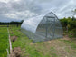 NEW 2021 GREENHOUSE ARROW-3, 18M² (3M X 6M; 9.8FT X 19.6FT)