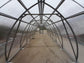 GREENHOUSE ARROW-3, 30M² (3M X 10M; 9.8FT X 33FT)