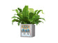 LECHUZA CANTO STONE 40 LOW SAND BEIGE