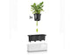 LECHUZA CUBE GLOSSY TRIPLE SCARLET RED HIGH-GLOSS