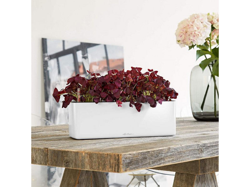 LECHUZA CUBE GLOSSY TRIPLE SCARLET RED HIGH-GLOSS