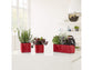 LECHUZA CUBE GLOSSY TRIPLE SCARLET RED HIGH-GLOSS
