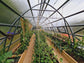FARMER 5 (42.5M² - 5M X 8.5M; 16.4FT X 27.9FT)