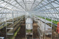 FARMER 7.5 (47.25M² - 7.5M X 6.3M; 24.6FT X 20.7FT)