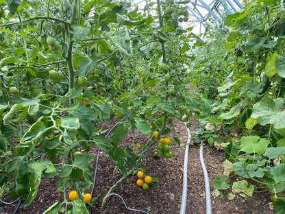 FARMER 7.5 (63.75M² - 7.5M X 8.5M; 24.6FT X 27.9FT)