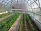 FARMER 7.5 (63.75M² - 7.5M X 8.5M; 24.6FT X 27.9FT)
