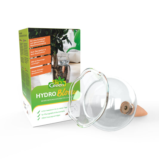 HYDRO BLOOM Transparent