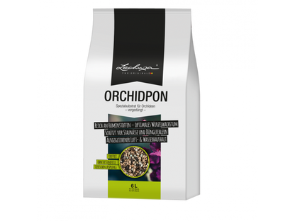 LECHUZA ORCHIDPON 6 LITER