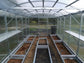 GREENHOUSE PRIMA-3 18 M² (3M X 6M; 9.8FT X 19.6FT)/ 6mm