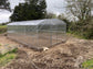 GREENHOUSE PRIMA-4 40 M² (4M X 10M; 13FT X 33FT)/ 6mm