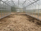 GREENHOUSE PRIMA-4 16 M² (4M X 4M; 13FT X 13FT)/ 6mm