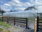 GREENHOUSE PRIMA-4 40 M² (4M X 10M; 13FT X 33FT)/ 6mm