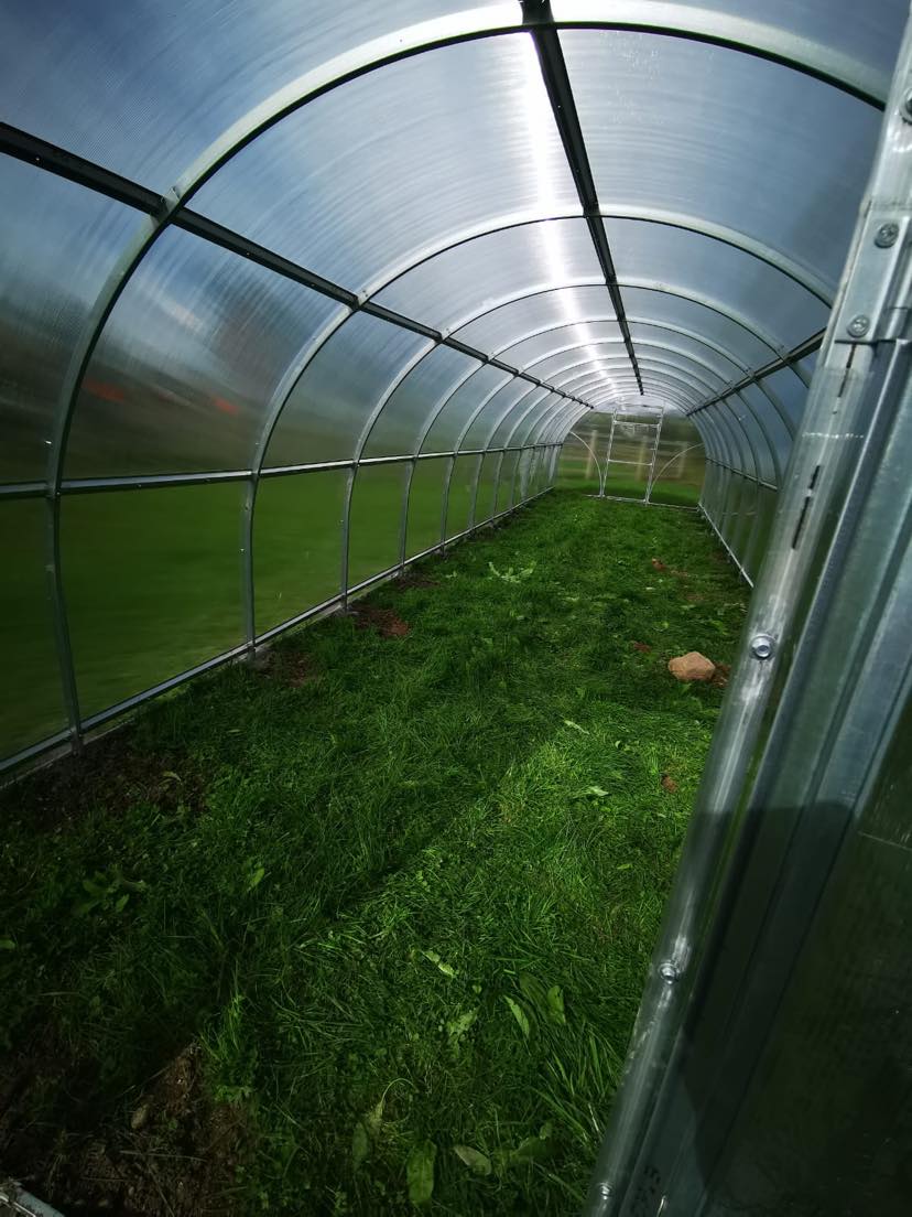GREENHOUSE SIGMA 36M² (3m x 12m; 9.8ft x 39.4ft)