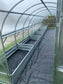GREENHOUSE SIGMA 30 M² (3M X 10M; 9.8FT X 33FT)