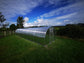 GREENHOUSE SIGMA 36M²