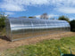 GREENHOUSE SIGMA 30 M² (3M X 10M; 9.8FT X 33FT)