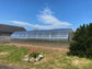 GREENHOUSE SIGMA 30 M² (3M X 10M; 9.8FT X 33FT)