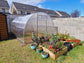 GREENHOUSE SIGMA 12 M² (3M X 4M; 9.8FT X 13FT)