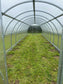 GREENHOUSE SIGMA 30 M² (3M X 10M; 9.8FT X 33FT)
