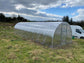 NEW 2021 GREENHOUSE STRONG 30 M² (3M X 10M; 9.8FT X 33FT)