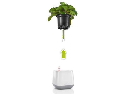 LECHUZA YULA PLANTER WHITE/GREY SEMI-GLOSS