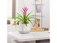 LECHUZA YULA PLANTER WHITE/GREY SEMI-GLOSS
