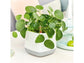 LECHUZA YULA PLANTER WHITE/GREY SEMI-GLOSS