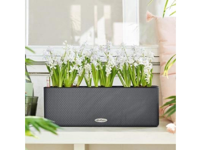 LECHUZA CUBE COLOR TRIPLE SLATE