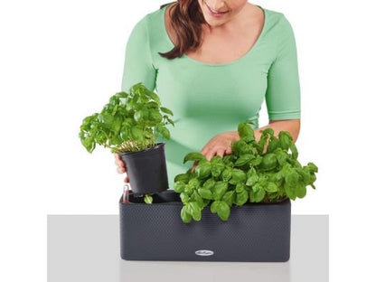 LECHUZA CUBE COLOR TRIPLE SLATE