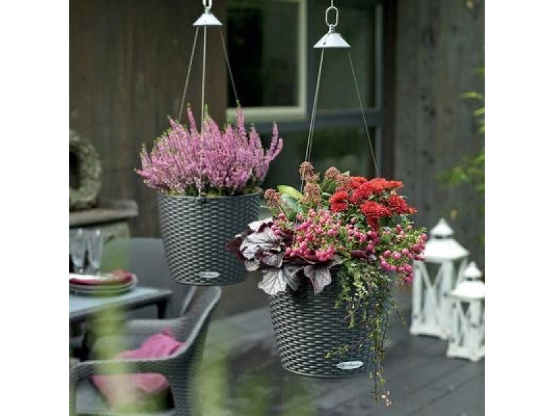 LECHUZA NIDO COTTAGE MOCHA WITH STURDY STAINLESS STEEL HANGER