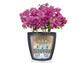 LECHUZA CLASSICO COLOR 18 SLATE