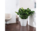 LECHUZA CLASSICO COLOR 35 WHITE