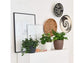 LECHUZA CLASSICO COLOR 18 WHITE