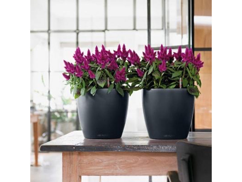 LECHUZA CLASSICO COLOR 21 SLATE