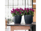 LECHUZA CLASSICO COLOR 21 SLATE
