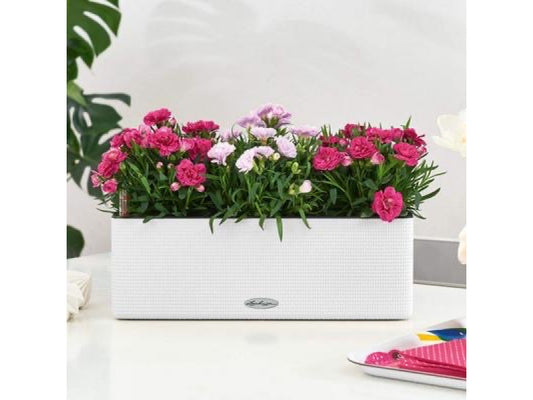 LECHUZA CUBE COLOR TRIPLE WHITE