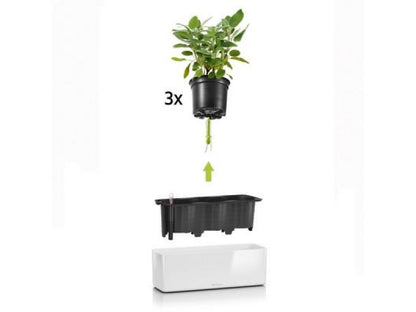 LECHUZA CUBE GLOSSY TRIPLE CHARCOAL HIGH-GLOSS