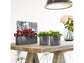 LECHUZA CUBE GLOSSY TRIPLE CHARCOAL HIGH-GLOSS
