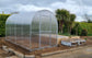 GREENHOUSE YOTA 8 M² (2M X 4M; 6.5FT X 13FT)