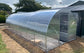 GREENHOUSE SIGMA 24M² 3M X 8M (9.8FT X 26FT)