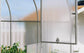 GREENHOUSE YOTA 8 M² (2M X 4M; 6.5FT X 13FT)