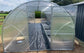 GREENHOUSE SIGMA 24M² 3M X 8M (9.8FT X 26FT)