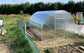 GREENHOUSE SIGMA 12 M² (3M X 4M; 9.8FT X 13FT)